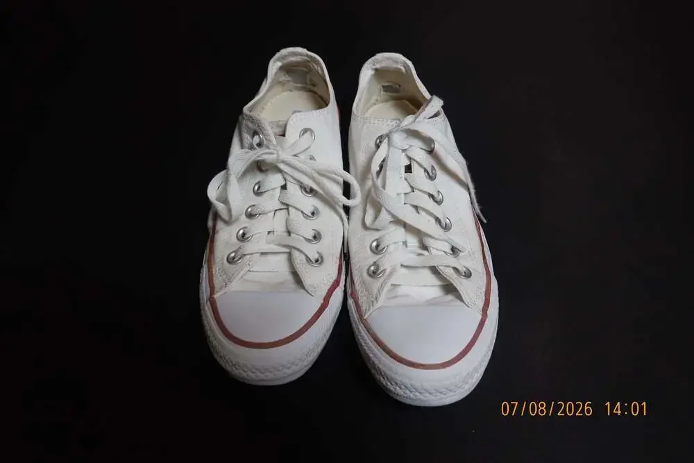 Converse Chuck Taylor All Star Low Top Optical White Sneakers M7652
